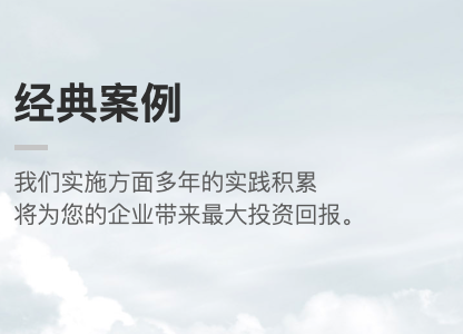 管理标准化咨询方案